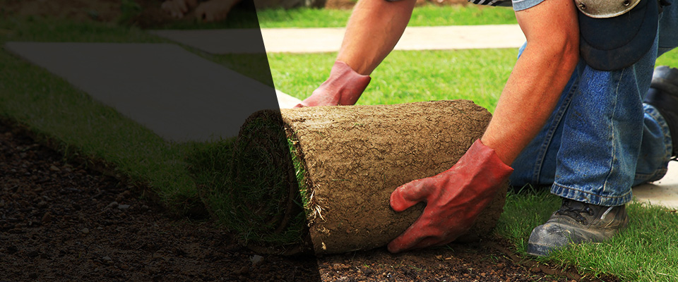 Wethersfield Landscapers